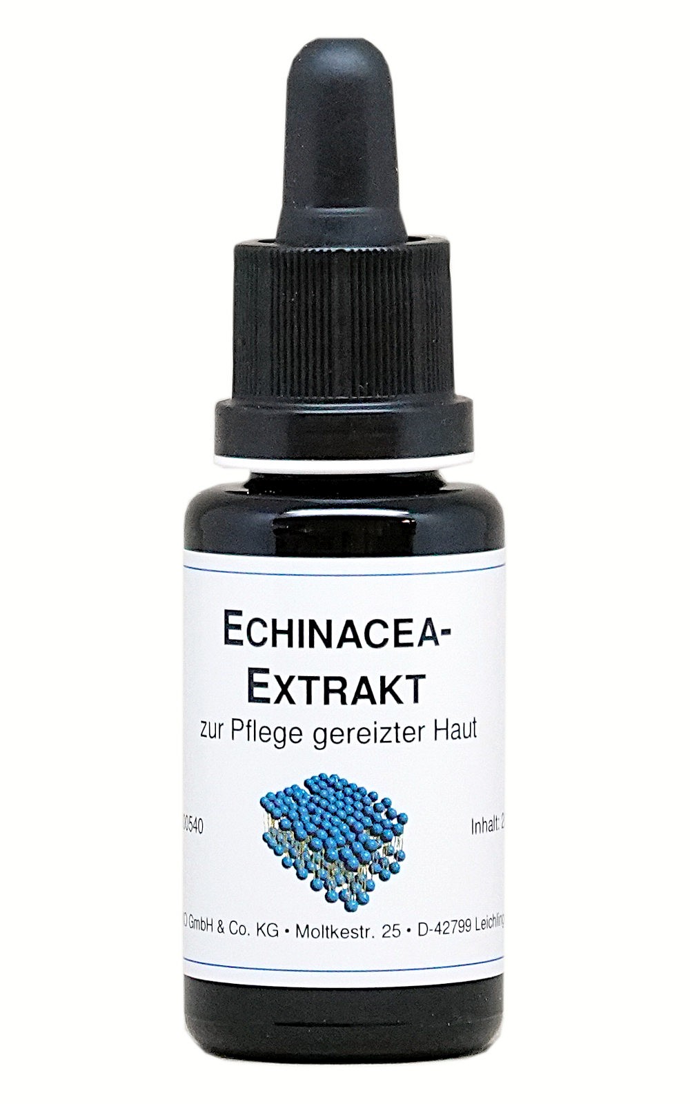 Echinacea-Extrakt 20ml